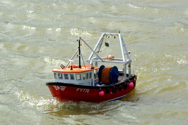 Kingfisher (02)