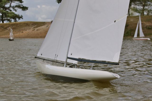 DSC01342 © Peter Taylor 2012