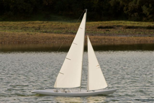 DSC08561 © Peter Taylor 2011