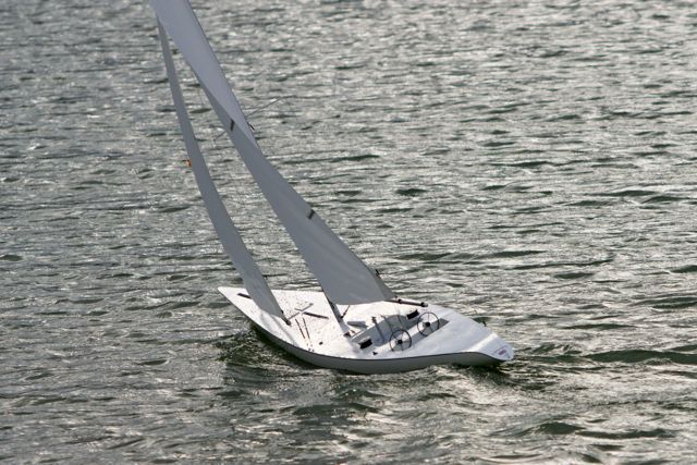 DSC08639 © Peter Taylor 2011