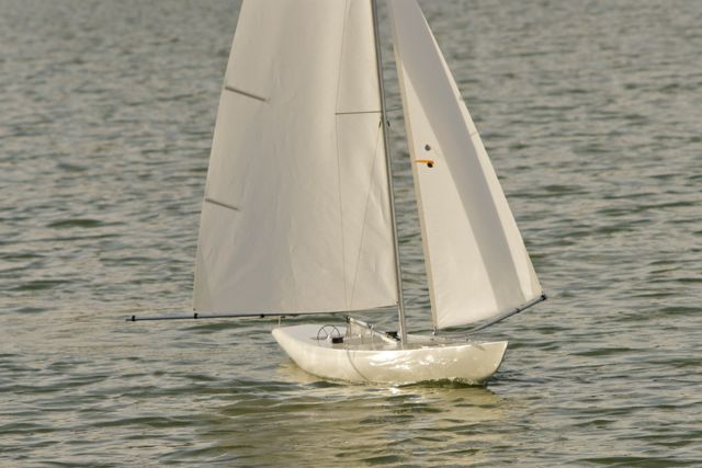 DSC08564 © Peter Taylor 2011