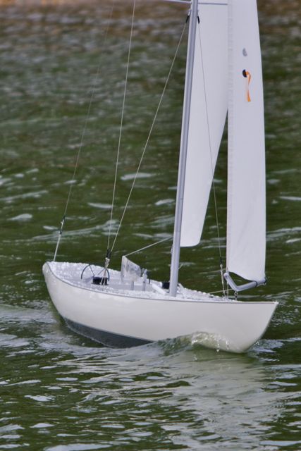 DSC08634 © Peter Taylor 2011