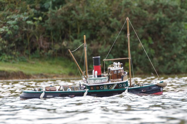 DSC01328 © Peter Taylor 2012