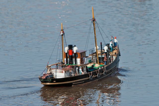 DSC09559 © Peter Taylor 2012