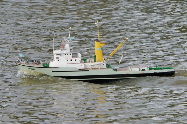 DSC08109 © Peter Taylor 2011