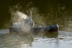 DSC04528 © Peter Taylor 2007