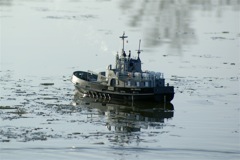 DSC04282 © Peter Taylor 2007