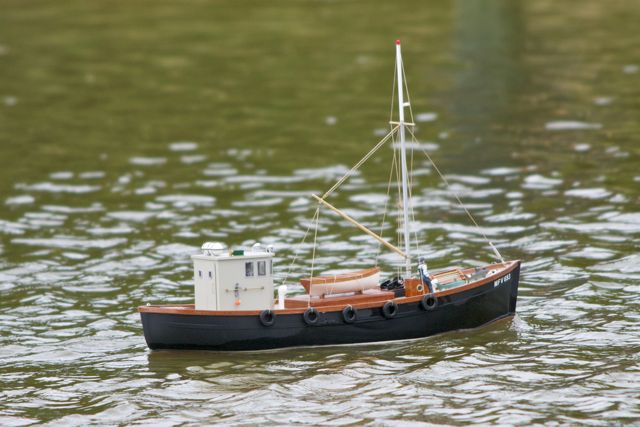 DSC00369 © Peter Taylor 2012