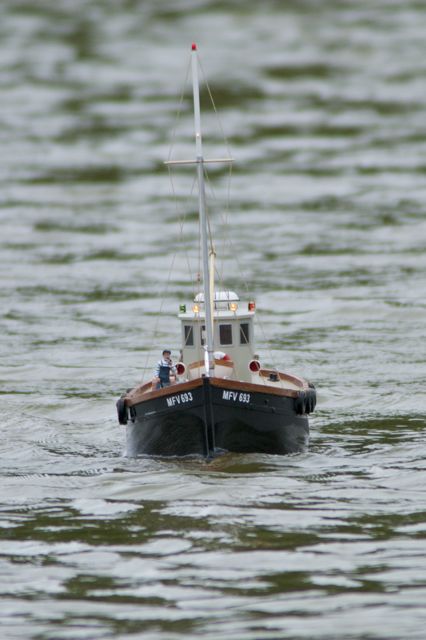 DSC00362 © Peter Taylor 2012