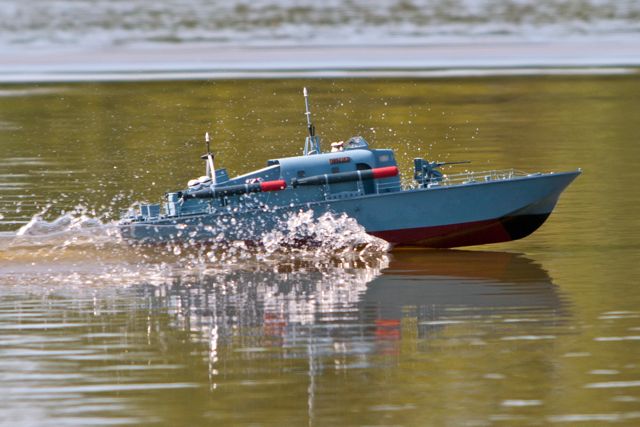 DSC01498 © Peter Taylor 2013