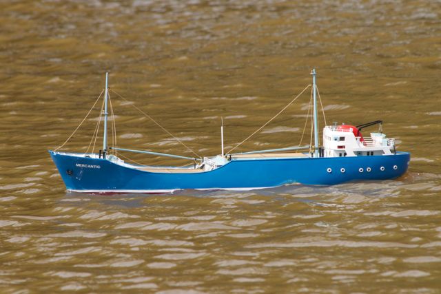 DSC06866 © Peter Taylor 2011