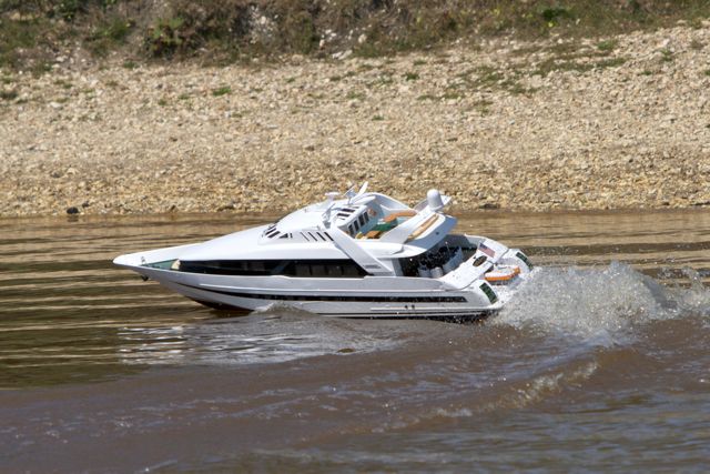 DSC06325 © Peter Taylor 2011