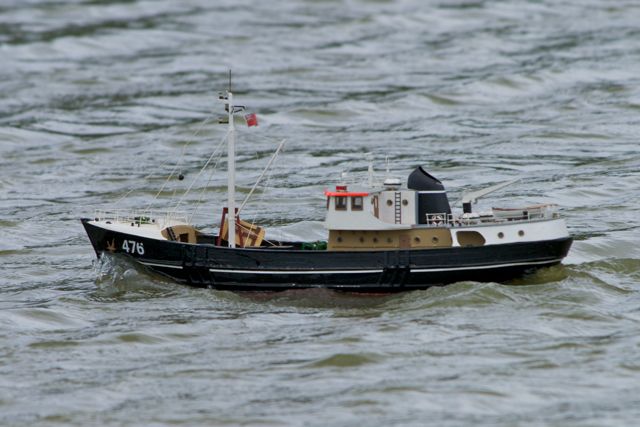 DSC00483 © Peter Taylor 2012