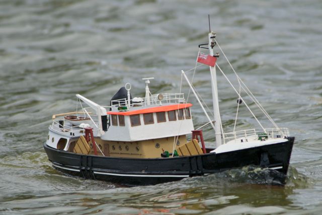 DSC00478 © Peter Taylor 2012