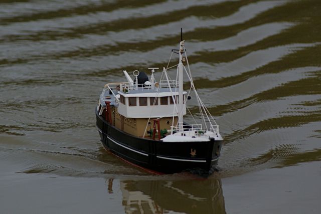 DSC07718 © Peter Taylor 2008