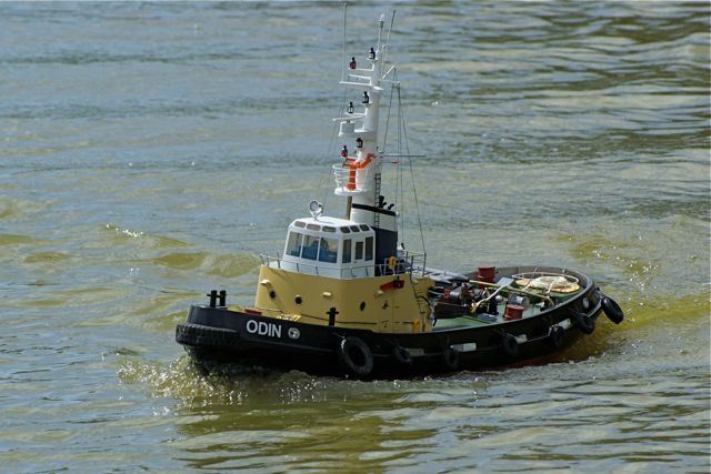 DSC06112 © Peter Taylor 2008