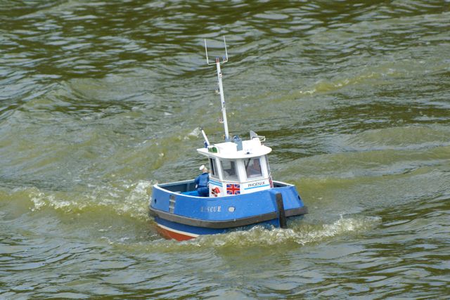DSC01472 © Peter Taylor 2009