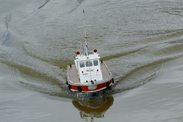 DSC00089 © Peter Taylor 2009