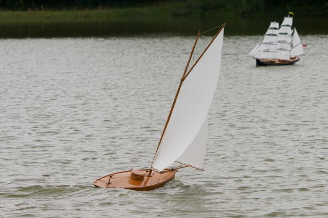 DSC00389 © Peter Taylor 2012