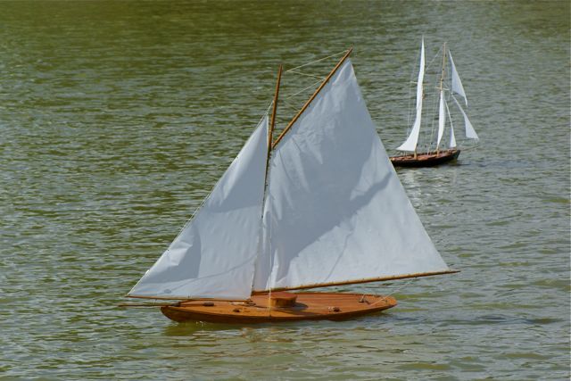 DSC09406 © Peter Taylor 2009