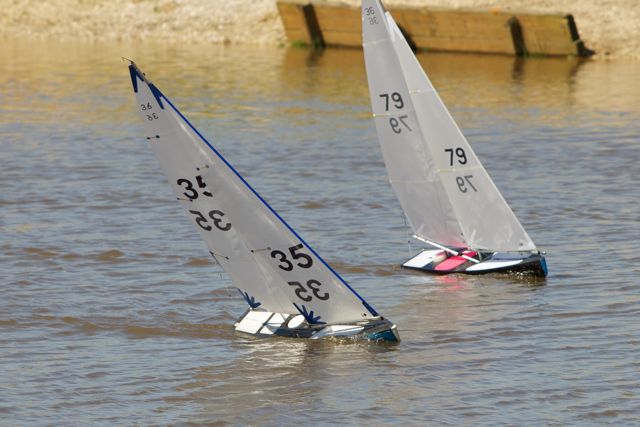DSC04287 © Peter Taylor 2012