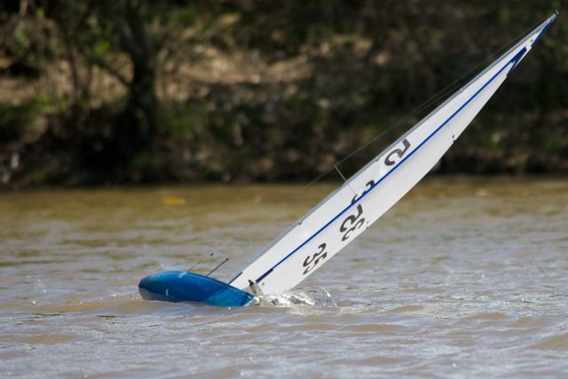 DSC04546 © Peter Taylor 2012