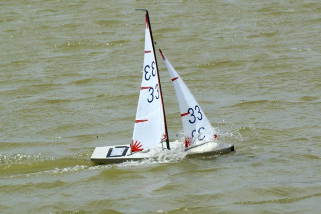 DSC09851 © Peter Taylor 2009