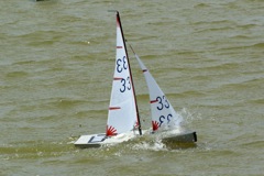 R36R Sail No 33