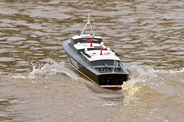 DSC05866 © Peter Taylor 2011