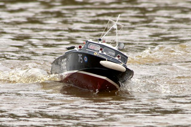 DSC05852 © Peter Taylor 2011