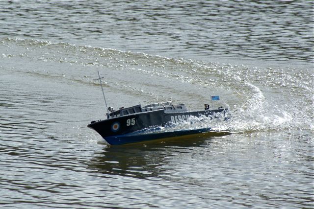 DSC03130 © Peter Taylor 2010