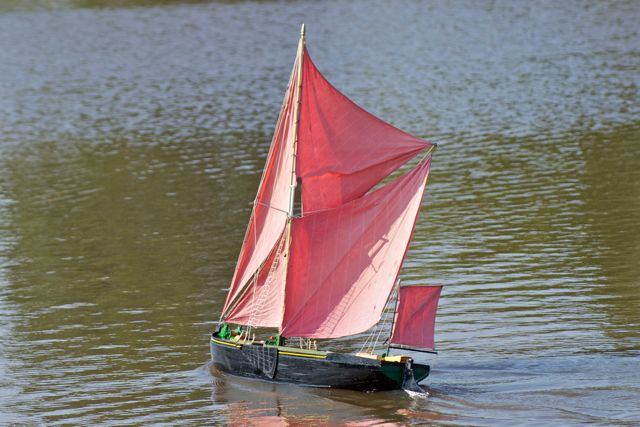 DSC03073 © Peter Taylor 2011