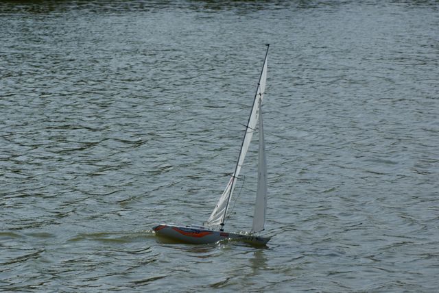 A100.07052508 © Peter Taylor 2007