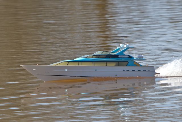 DSC04719 © Peter Taylor 2011