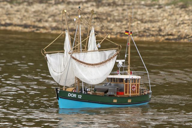 DSC05775 © Peter Taylor 2011