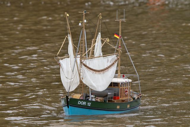 DSC05863 © Peter Taylor 2011