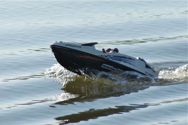 DSC03343 © Peter Taylor 2012