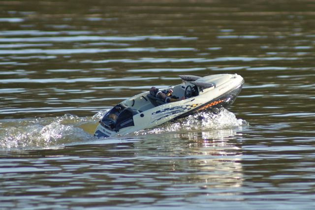 DSC03348 © Peter Taylor 2012
