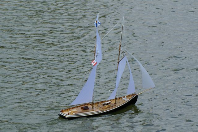 DSC01646 © Peter Taylor 2009