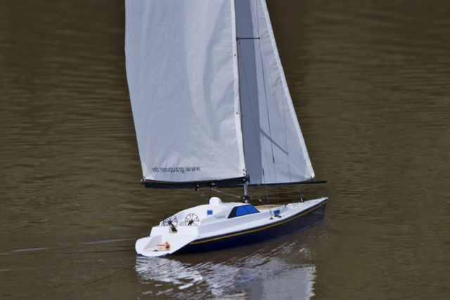 DSC05399 © Peter Taylor 2011