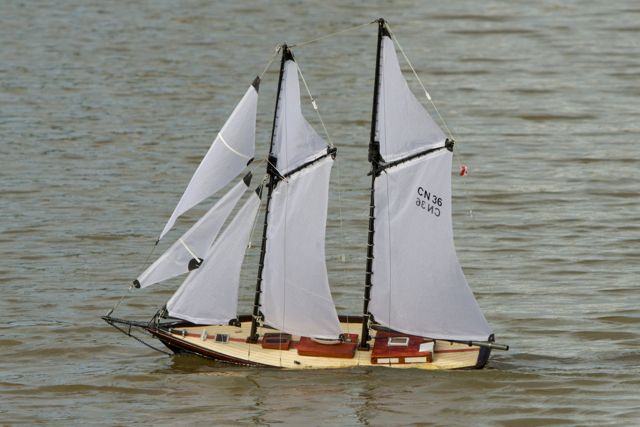 DSC06981 © Peter Taylor 2011