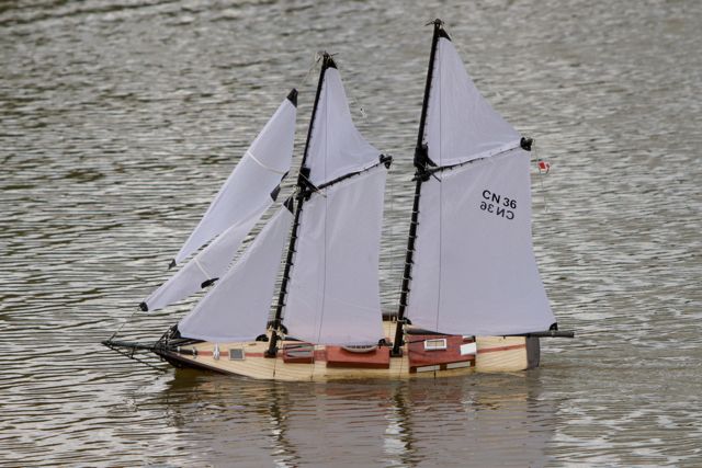 DSC06989 © Peter Taylor 2011