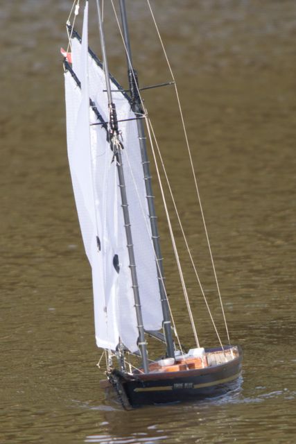 DSC09488 © Peter Taylor 2012
