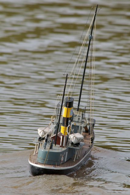 DSC07710 © Peter Taylor 2011