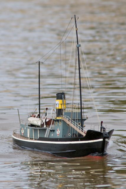 DSC07704 © Peter Taylor 2011