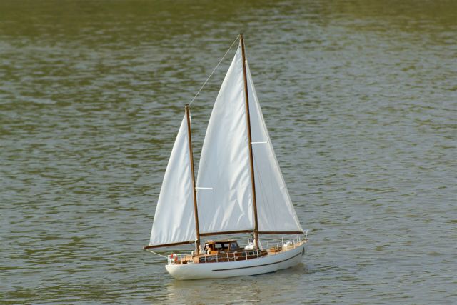 A100.07042805  © Peter Taylor 2007