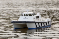 DSC02328 © Peter Taylor 2012