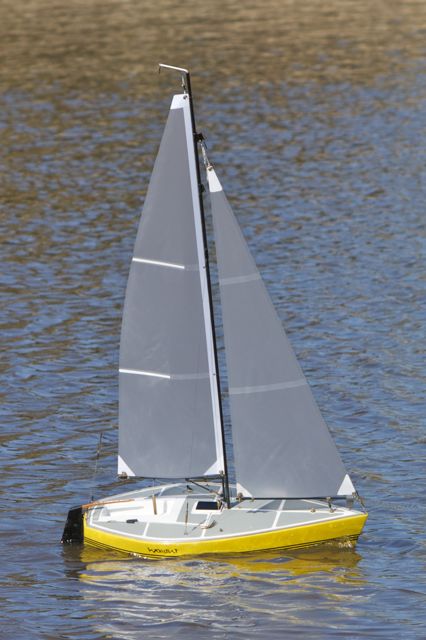 DSC09632 © Peter Taylor 2012