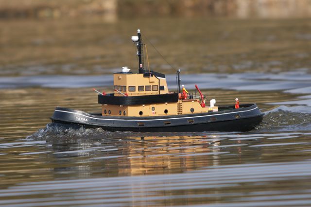 DSC01119 © Peter Taylor 2013