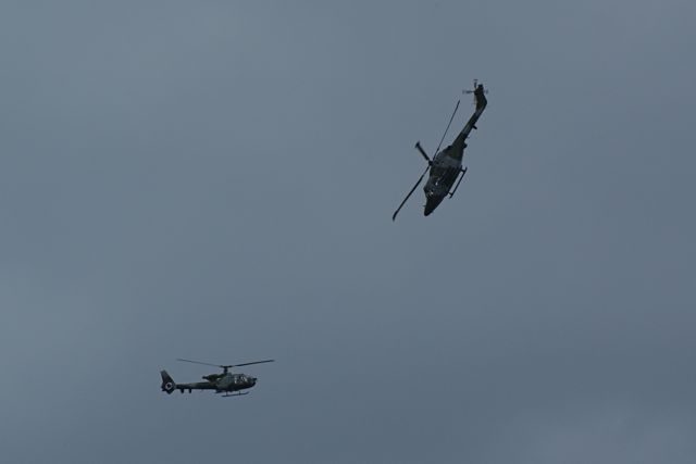 Blue Eagles DSC06295.JPG